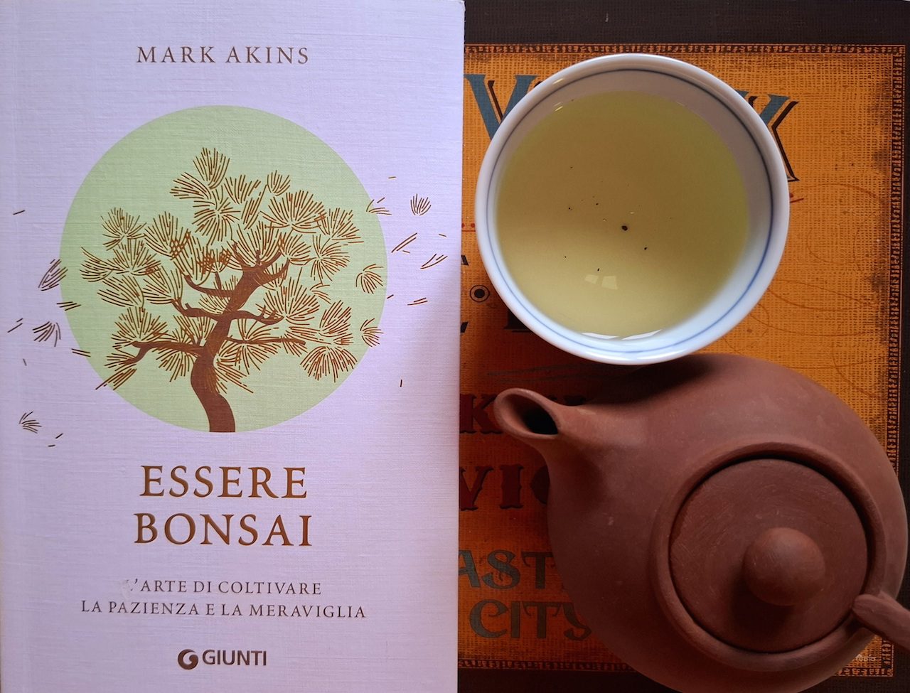 Essere Bonsai