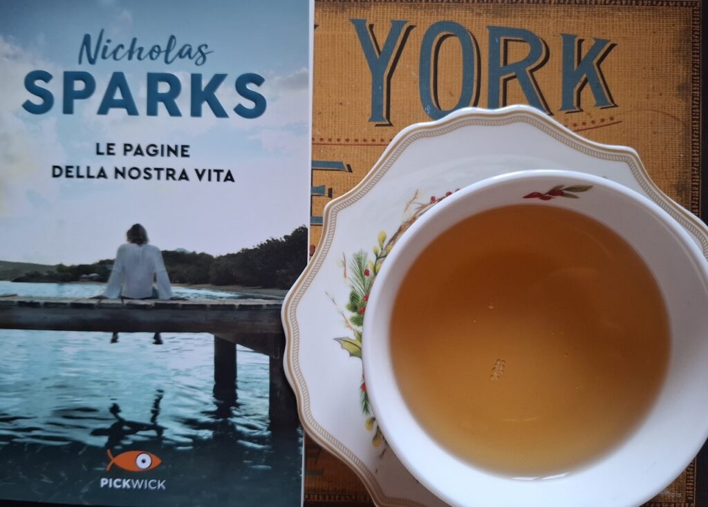 Le pagine della nostra vita di Nicholas Sparks